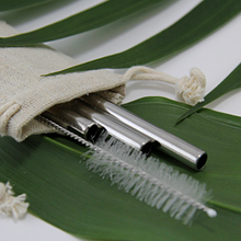 Load image into Gallery viewer, Metal Straw Set