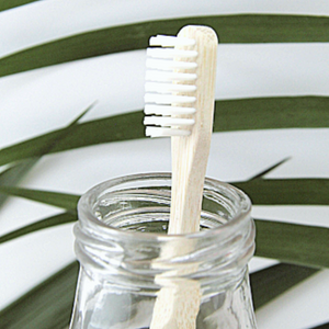 Bamboo Toothbrush Sets