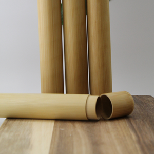 Bamboo Toothbrush Case